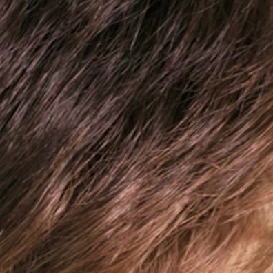 06GR medium chestnut brown