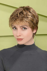 Bernstein Multi Rooted