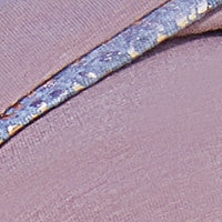Rose With Glitter Piping 602