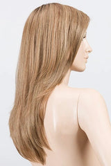LIGHT BERNSTEIN ROOTED