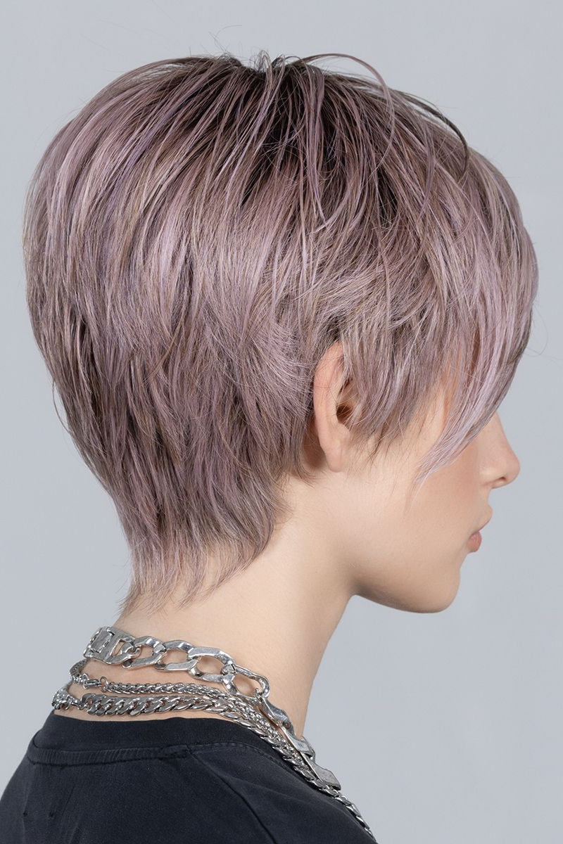 lavender rooted