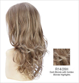 r14/26h dark blonde golden blonde highlights