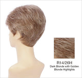 r14/26h dark blonde golden blonde highlights